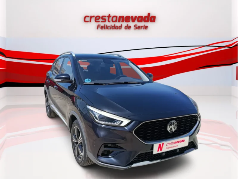 Imagen de Mg ZS
