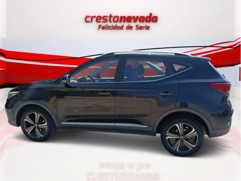 Imagen de Mg ZS