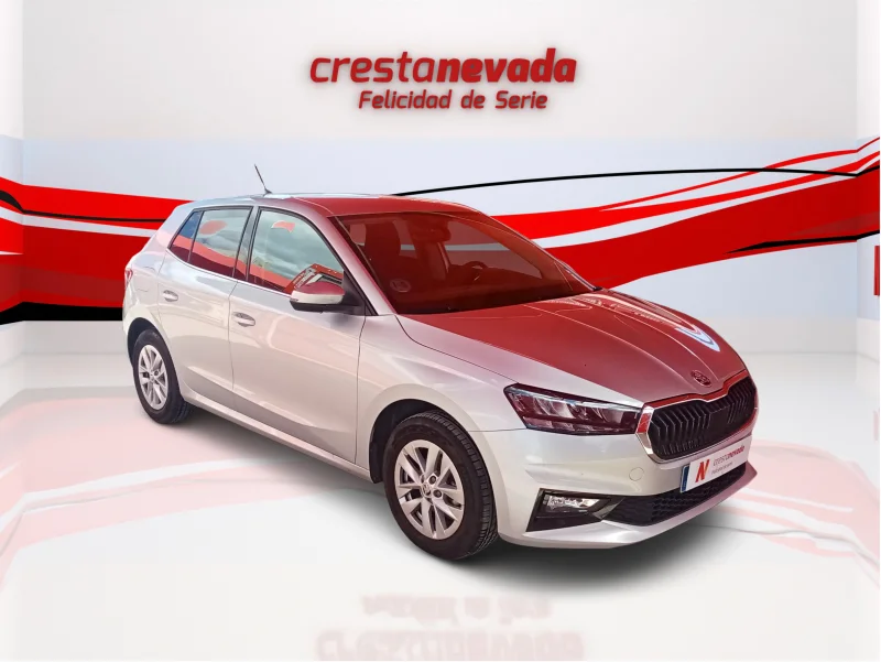 Imagen de Skoda Fabia