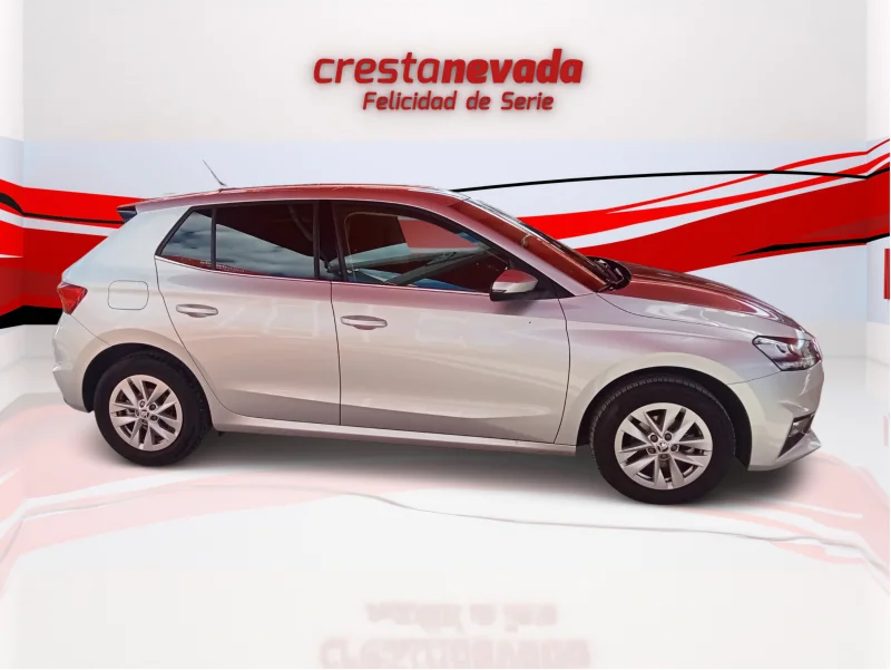 Imagen de Skoda Fabia