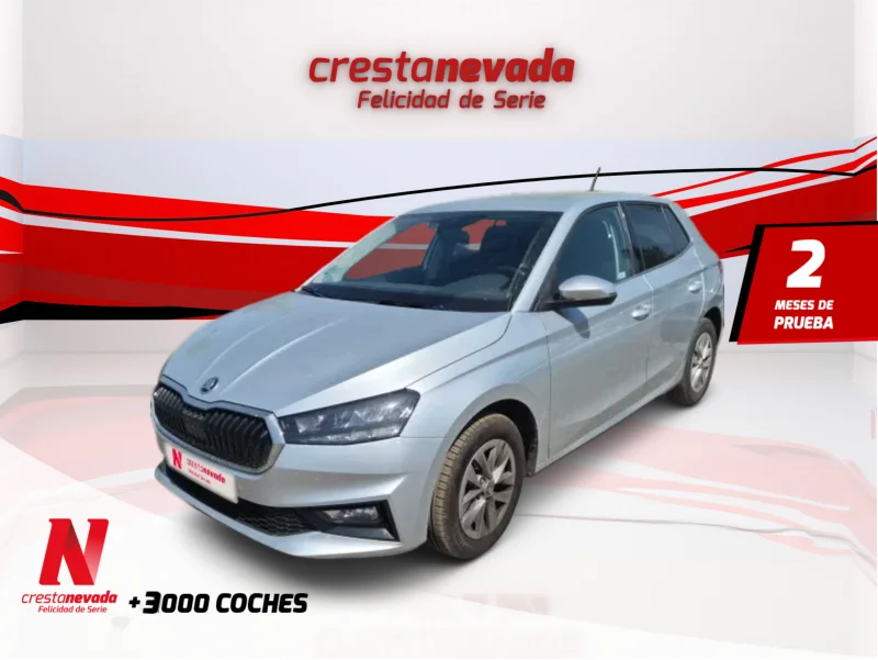 Imagen de Skoda Fabia