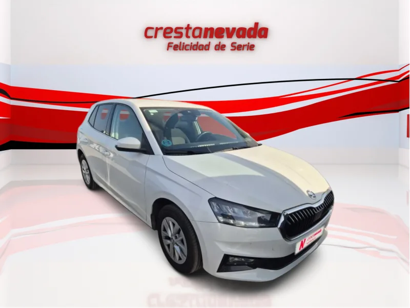 Imagen de Skoda Fabia
