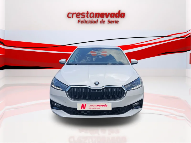 Imagen de Skoda Fabia