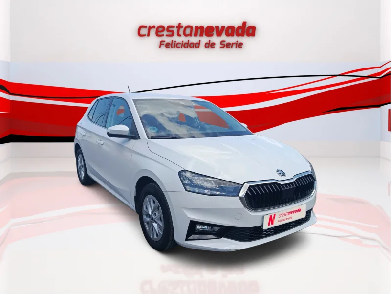 Imagen de Skoda Fabia