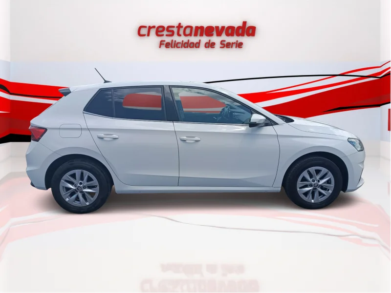 Imagen de Skoda Fabia