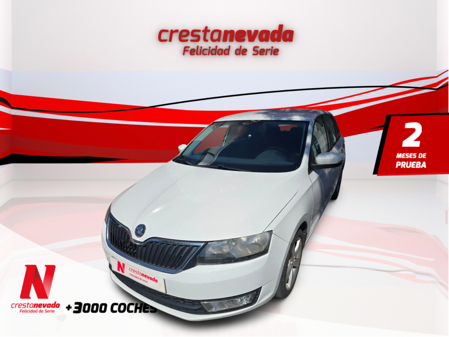 Imagen de Skoda Rapid