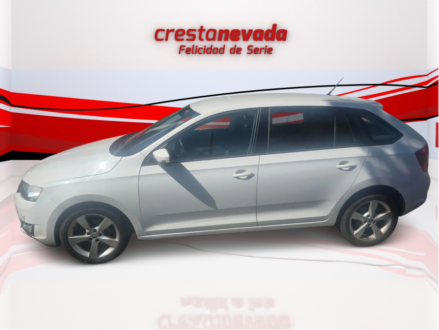 Imagen de Skoda Rapid