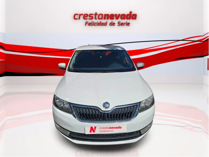 Imagen de Skoda Rapid