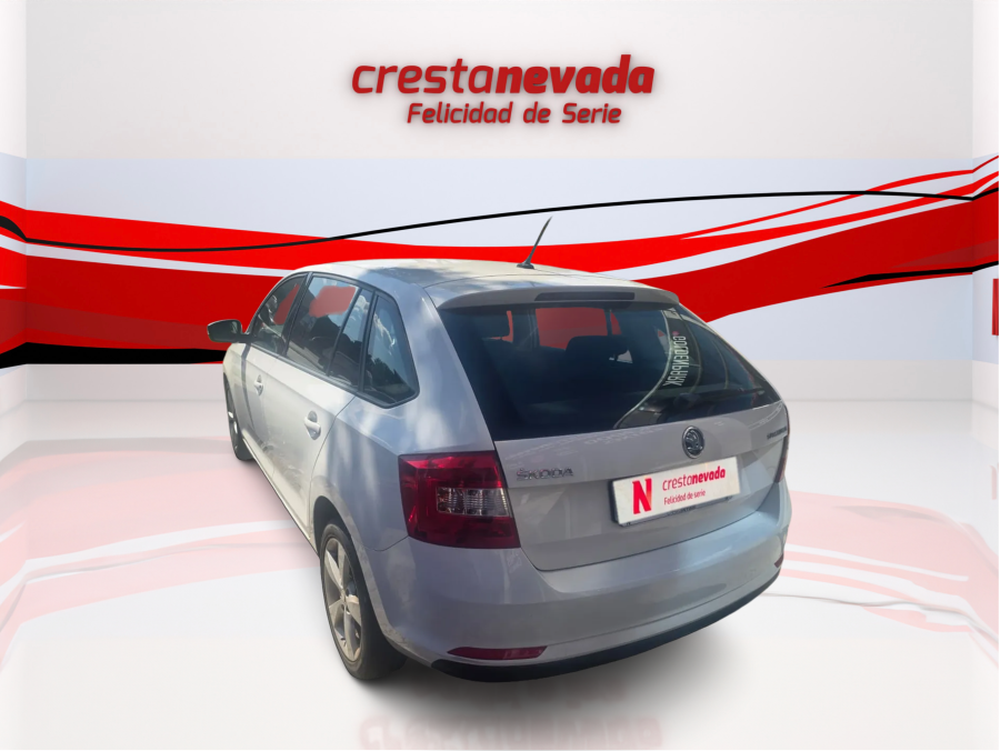 Imagen de Skoda Rapid