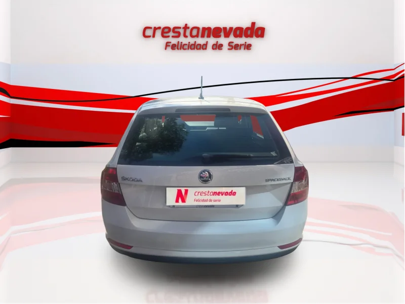 Imagen de Skoda Rapid