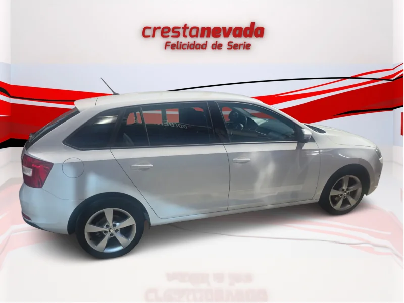Imagen de Skoda Rapid