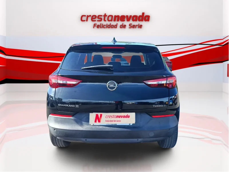 Imagen de Opel Grandland X