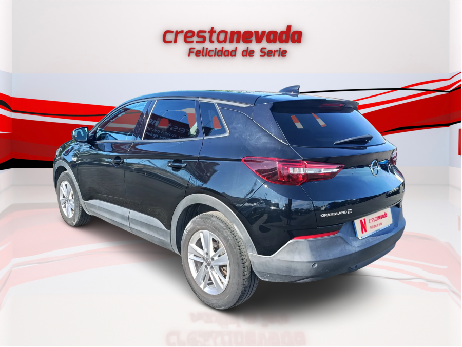 Imagen de Opel Grandland X