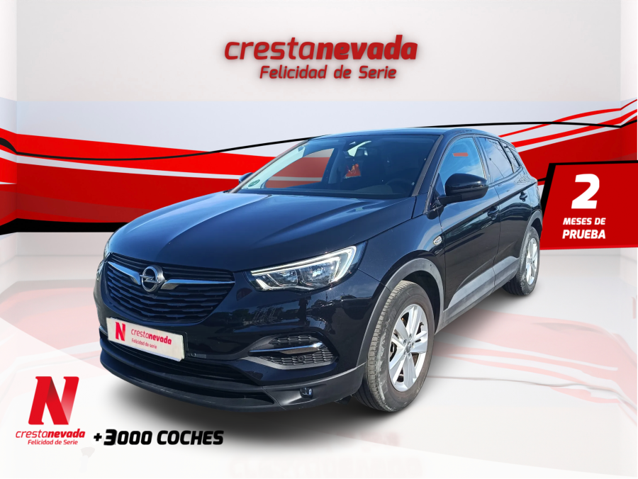 Imagen de Opel Grandland X