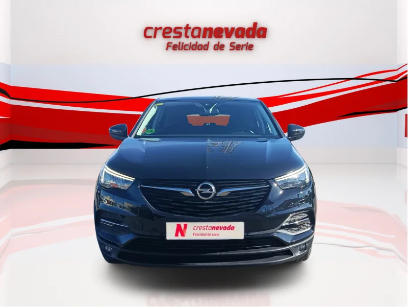 Imagen de Opel Grandland X