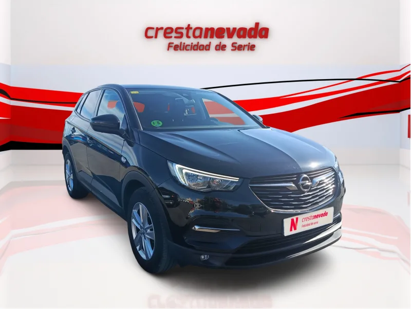 Imagen de Opel Grandland X