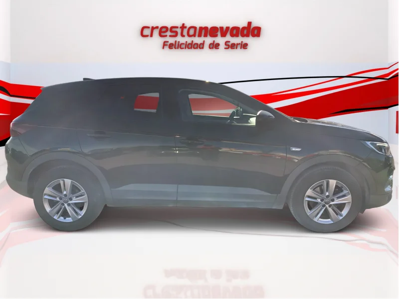 Imagen de Opel Grandland X