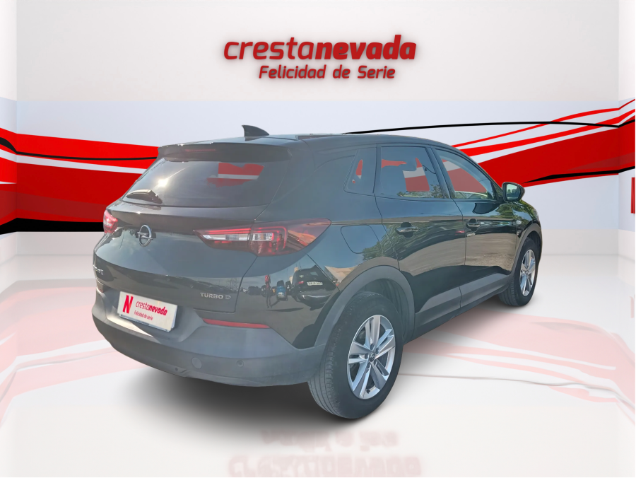 Imagen de Opel Grandland X