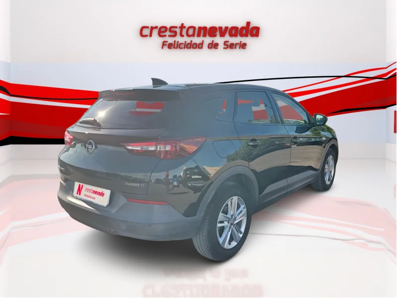 Imagen de Opel Grandland X