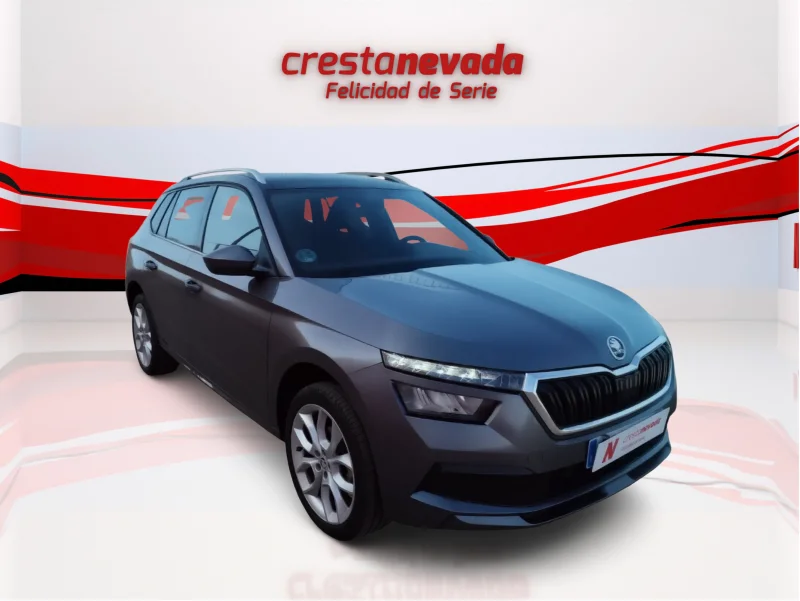 Imagen de Skoda Kamiq