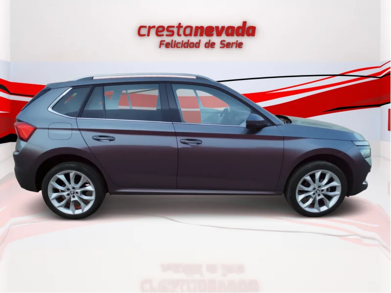 Imagen de Skoda Kamiq
