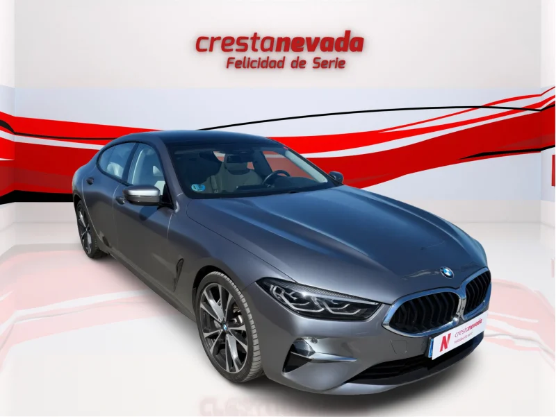 Imagen de BMW Serie 8