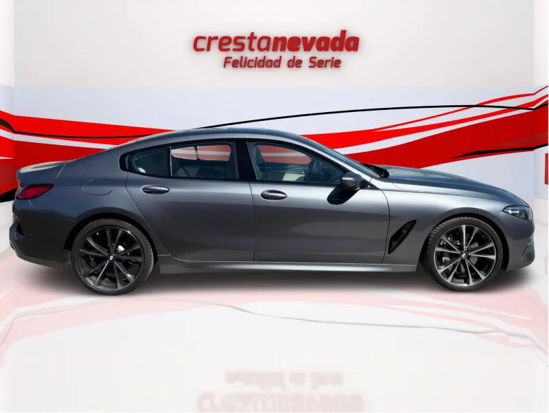 Imagen de BMW Serie 8