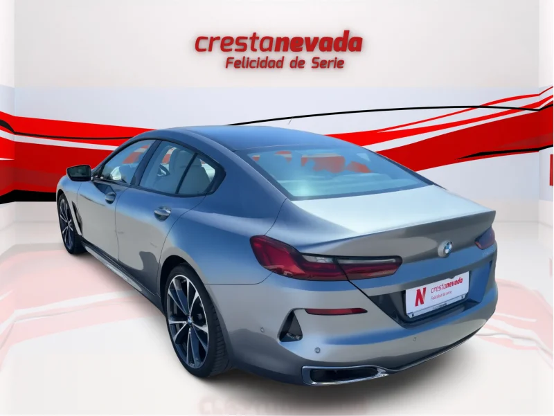 Imagen de BMW Serie 8