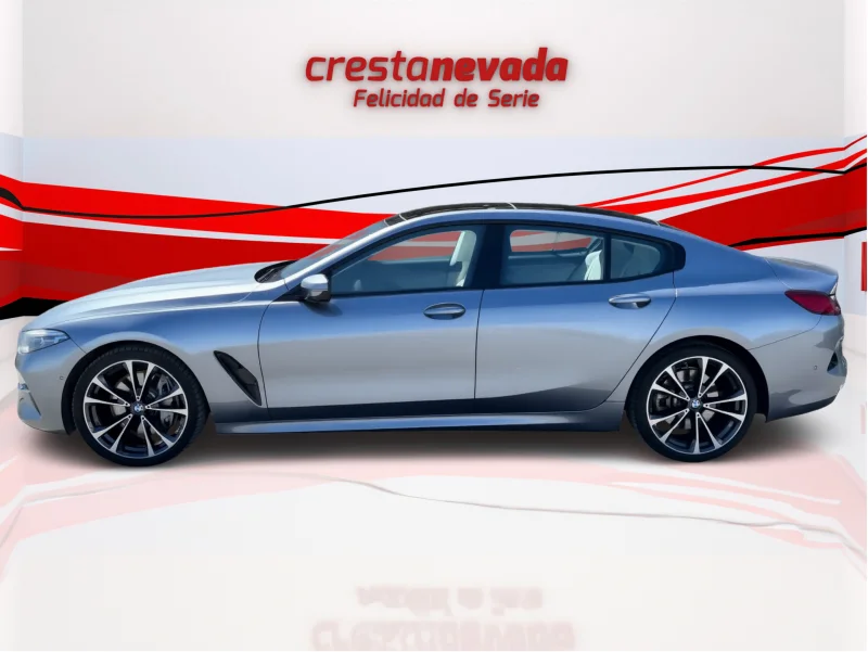 Imagen de BMW Serie 8