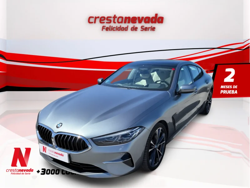 Imagen de BMW Serie 8