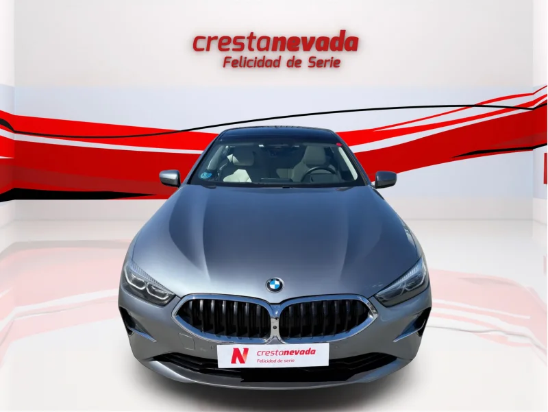 Imagen de BMW Serie 8