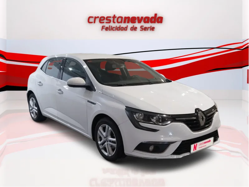 Imagen de Renault Mégane