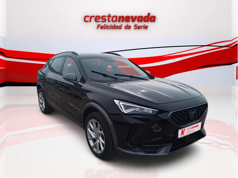 Imagen de cupra Formentor