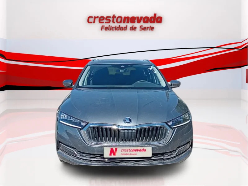 Imagen de Skoda Octavia