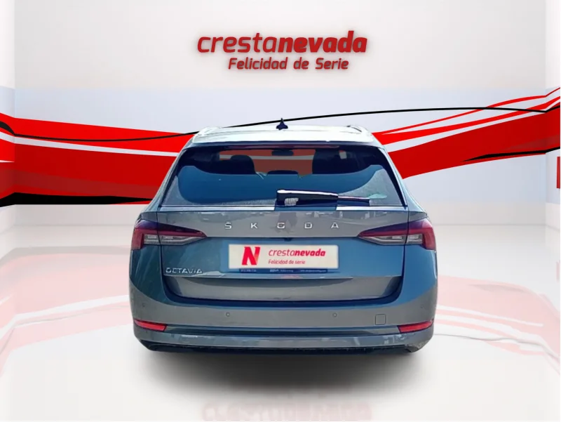 Imagen de Skoda Octavia