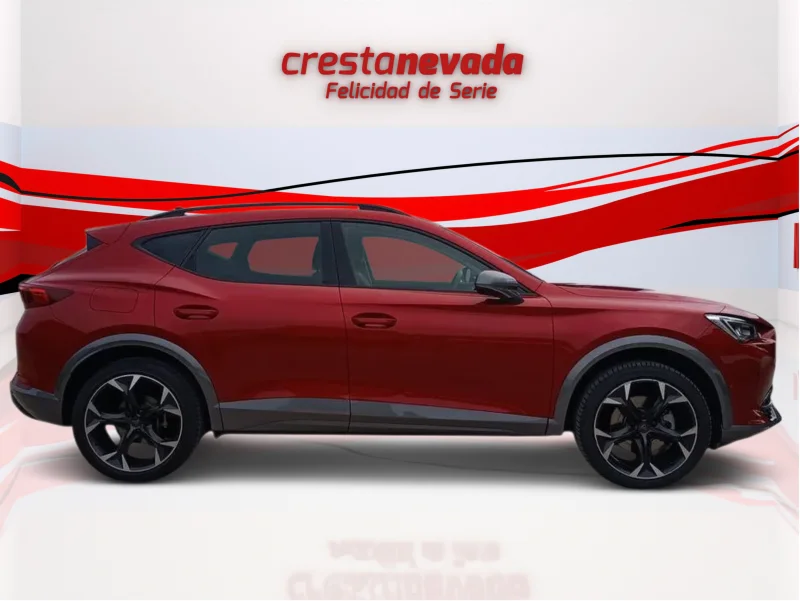 Imagen de cupra Formentor