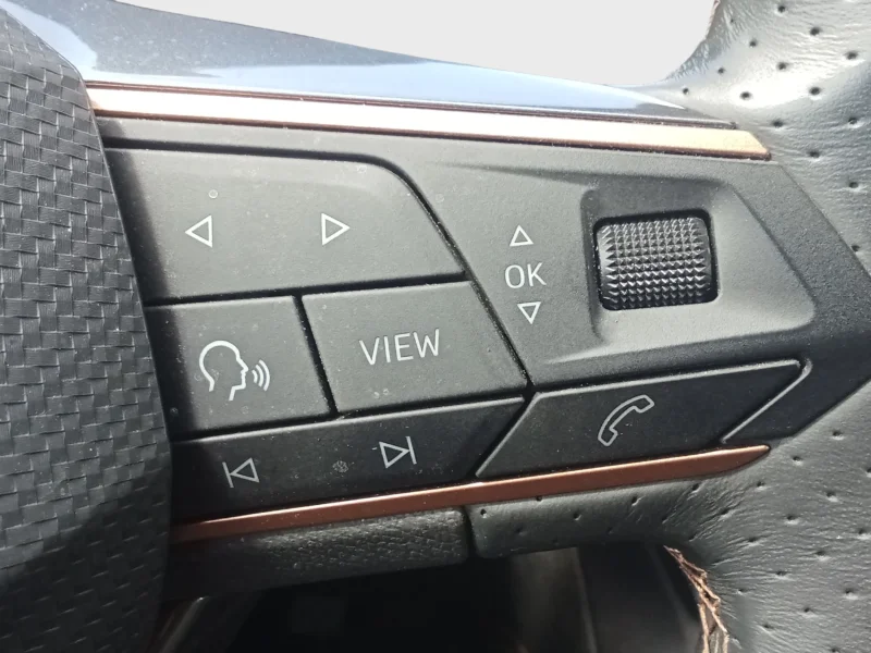 Imagen de cupra León