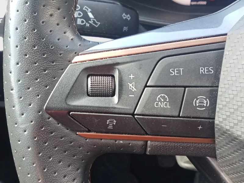 Imagen de cupra León