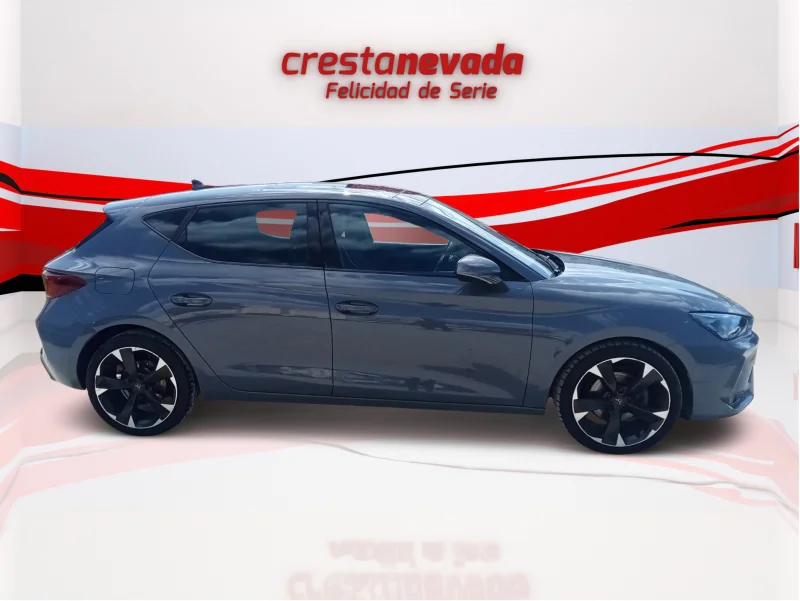 Imagen de cupra León