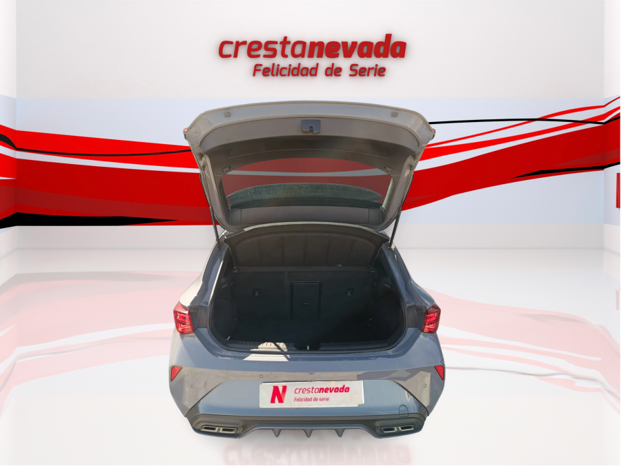 Imagen de cupra León