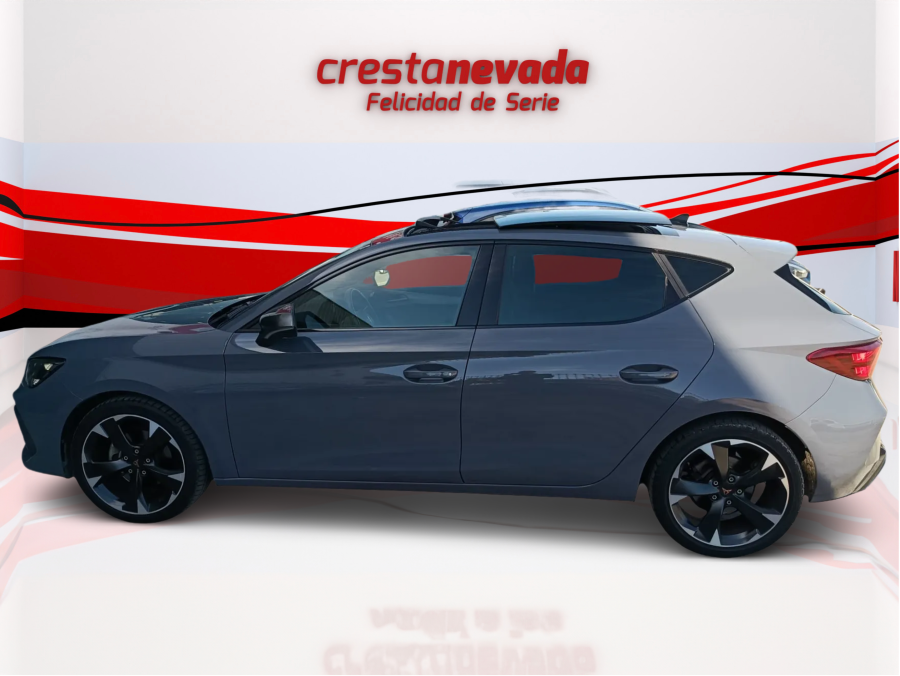 Imagen de cupra León