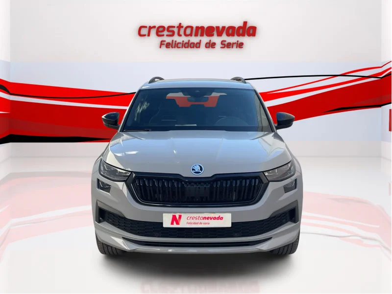 Imagen de Skoda Kodiaq