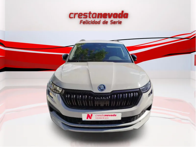 Imagen de Skoda Kodiaq