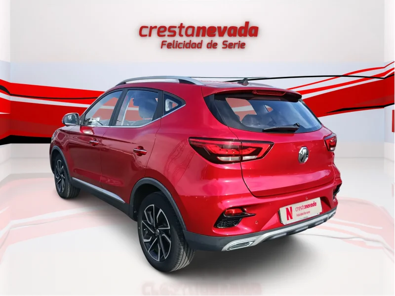Imagen de Mg ZS