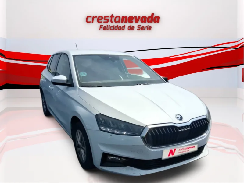 Imagen de Skoda Fabia