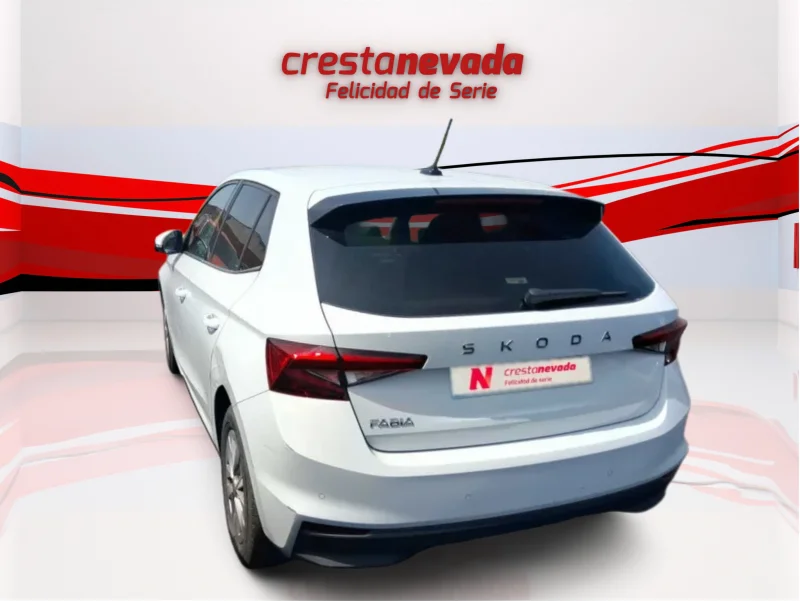 Imagen de Skoda Fabia