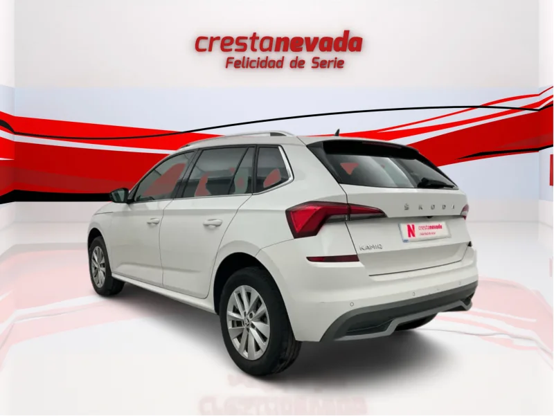 Imagen de Skoda Kamiq