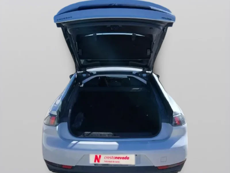 Imagen de Peugeot 508