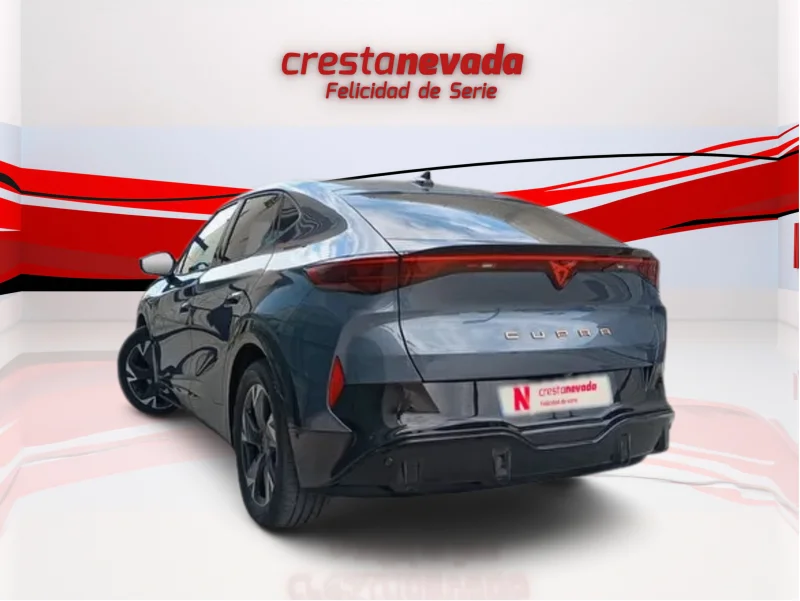 Imagen de cupra Tavascan