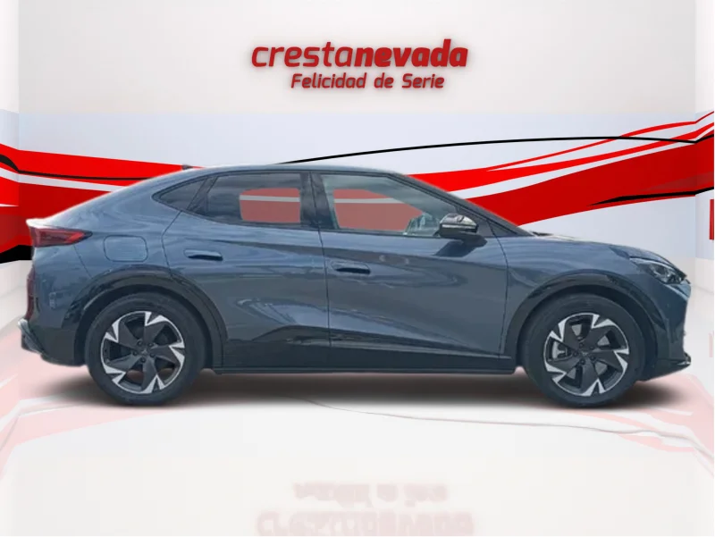 Imagen de cupra Tavascan